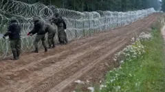 سربازان لهستانی در حال کشیدن سیم خاردار در مرز میان لهستان و بلاروس/ لهستان میگوید سیم خاردار کافی نیست و در پی ساخت دیوار است اما اتحادیه اروپا با این کار مخالف است