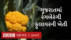 ખેતી