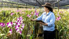 સિંગાપોરમાં ખેતી