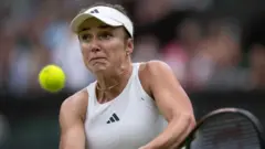 स्वितोलिना