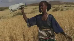 ኣደታት እንደርታ