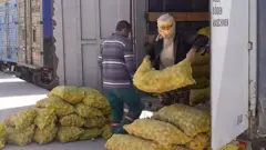 Карго маркази