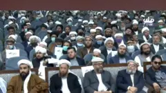 افغانستان، جګړه، عالمان
