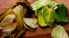 बनारसी पान