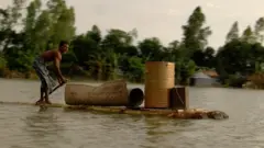 শুকনো জায়গার খোঁজে।