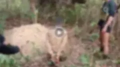 Graphic killing video