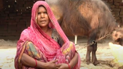 મહિલા