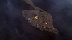 الصورة التقطها ألفونسو إسكاليرو