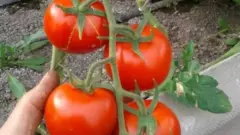 Кыргызстандын президенти Сооронбай Жээнбеков да Европа өлкөлөрүнө барган сайын "ВСП+" тууралуу такай кеңир сөз кылат.