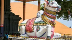 গোমূর্তি