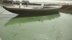 गंगा का हरा पानी