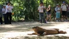 Komodo