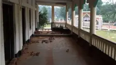 ভোলা, বোরহানউদ্দিন,