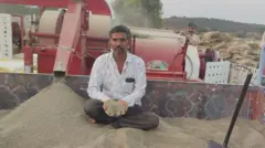 ગુજરાતમાં ખેતી, જીરુંના ભાવ, ઊંઝા માર્કેટમાં જીરુંના ભાવ, જીરું, બીબીસી ગુજરાતી, ખેતીવાડી