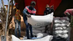 Pessoas carregam sacos de comida do Programa Mundial de Alimentos