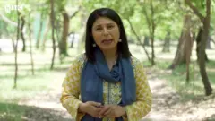 पाकिस्तान