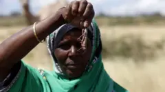 አንበጣ የያዘች ኢትዮጵያዊት