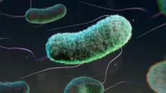 अँटिबायोटिक औषधांचा परिणाम कमी होणे, हे एक मोठं आव्हान निर्माण झालं आहे.