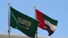 پرچم‌های عربستان سعودی و امارات در کنار هم