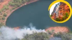 म्हादई जंगली 