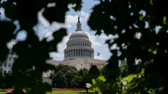 نمایی از کاخ سفید از میان شاخ و برگ‌ها