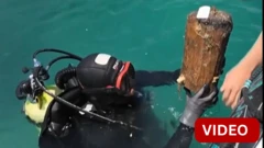 10 லட்சம் ஆண்டு பழமையான ஏரியில் கண்டெடுக்கப்பட்ட 8000 ஆண்டுக்கு முன்பு உருவான வாழ்விடம்