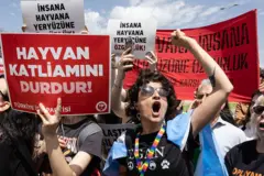 Göstericiler, 7 Mayıs 2025 tarihinde Ankara'da Hayvanları Koruma Kanunu'nun iptali için yapılan duruşma sırasında AYM binası önünde sloganlar attı.