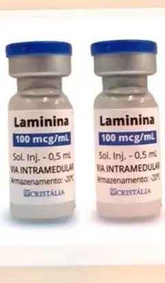 Vidros de laminina
