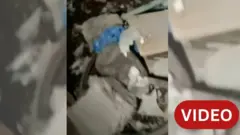 पाकिस्तान