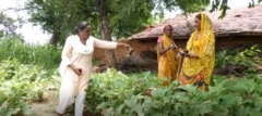 મહિલાઓ