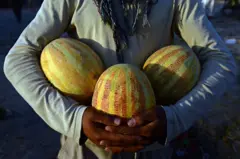 د سړي په لاس کې خټکي