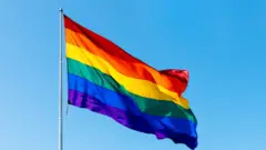 LGBTQ+ झेंडा