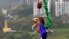 పంది