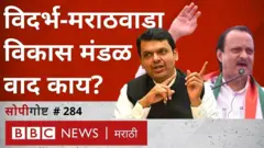 विकास मंडळ वाद