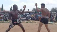 Damben gargajiya