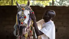 A man attends to a horse dressed in a colourful mask.