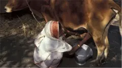 বাংলাদেশের অনেক নারীরা খামার করে থাকেন