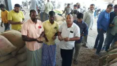 જામનગર એપીએમસીમાં મગફળીની હરાજીમાં હાજરી આપતા તામિલનાડુના વેપારીઓ નજરે પડે છે