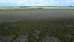 A general view of a partially dried up irrigation reservoir at Wirawila in the southern Sri Lankan district of Hambantota on August 25, 2014