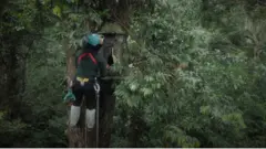 นกเงือก