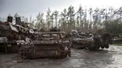 Destroyed armoured vehicles abandoned in muddy ground