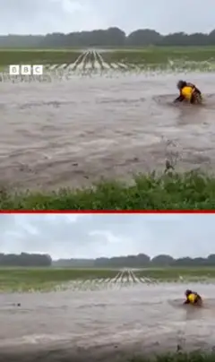 બીબીસી ગુજરાતી