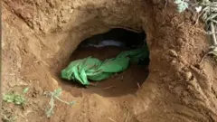 భారత్ పాకిస్తాన్