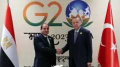 أردوغان والسيسي يتصافحان 