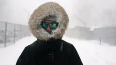сніг