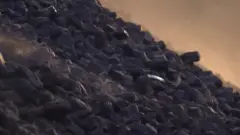 जल्द ही ये देश स्कॉटलैंड में जलवायु परिवर्तन पर माथापच्ची करेंगे.