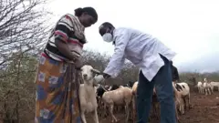 የእንስሳት ክትባት