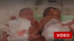 இன்குபேட்டர்