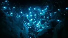 Imagem noturna de criaturas bioluminescentes na Austrália, na forma de céu estrelado