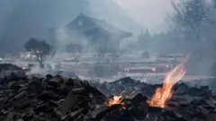 दक्षिण कोरियात वणव्याचा हाहाकार